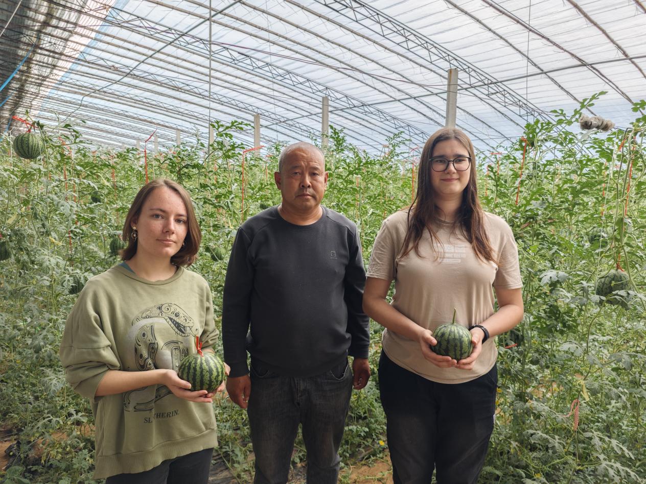 微信图片_20260417104847_391_552